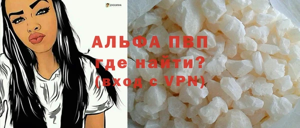 стафф Богданович